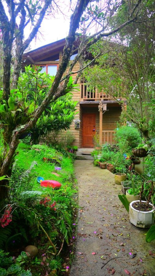 Beehouse Arvi Cabana 과르네 외부 사진