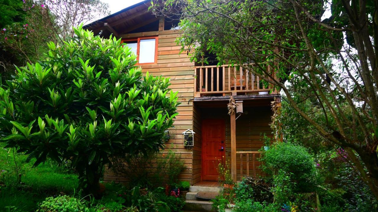 Beehouse Arvi Cabana 과르네 외부 사진